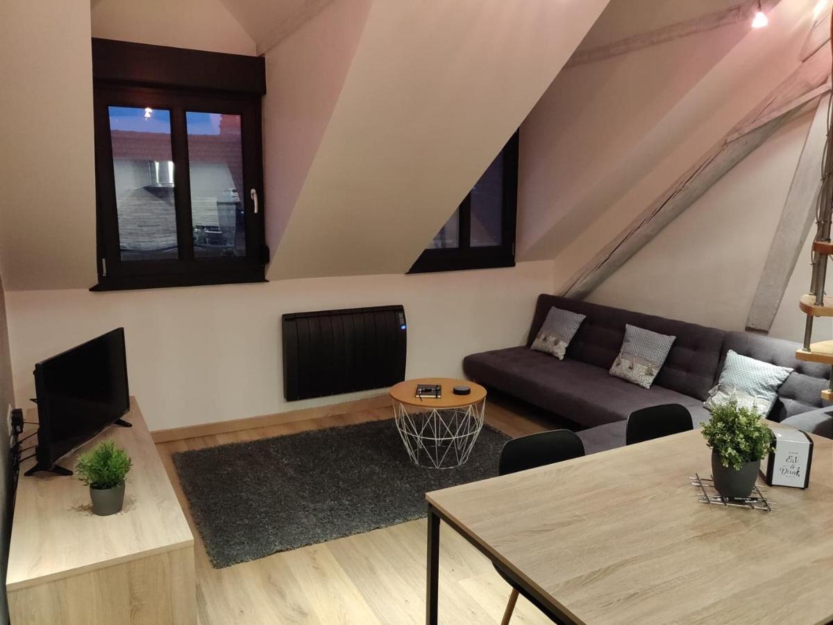 Le Business, Duplex Moderne Special Pro De Passage Apartment Sarreguemines Exterior photo